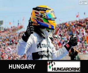 yapboz Lewis Hamilton Macaristan Grand Prix 2013 yılında zaferini kutluyor